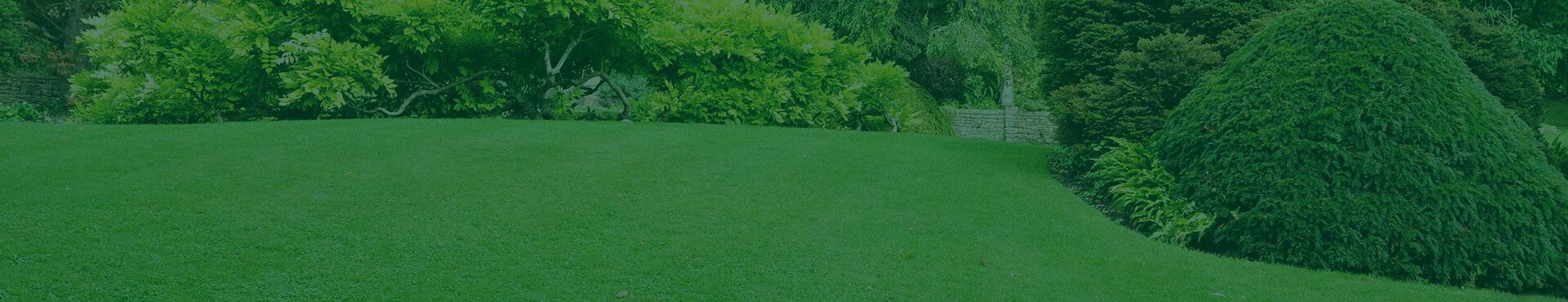 Pelouse soignée et massifs arbustifs d'un jardin méditerranéen