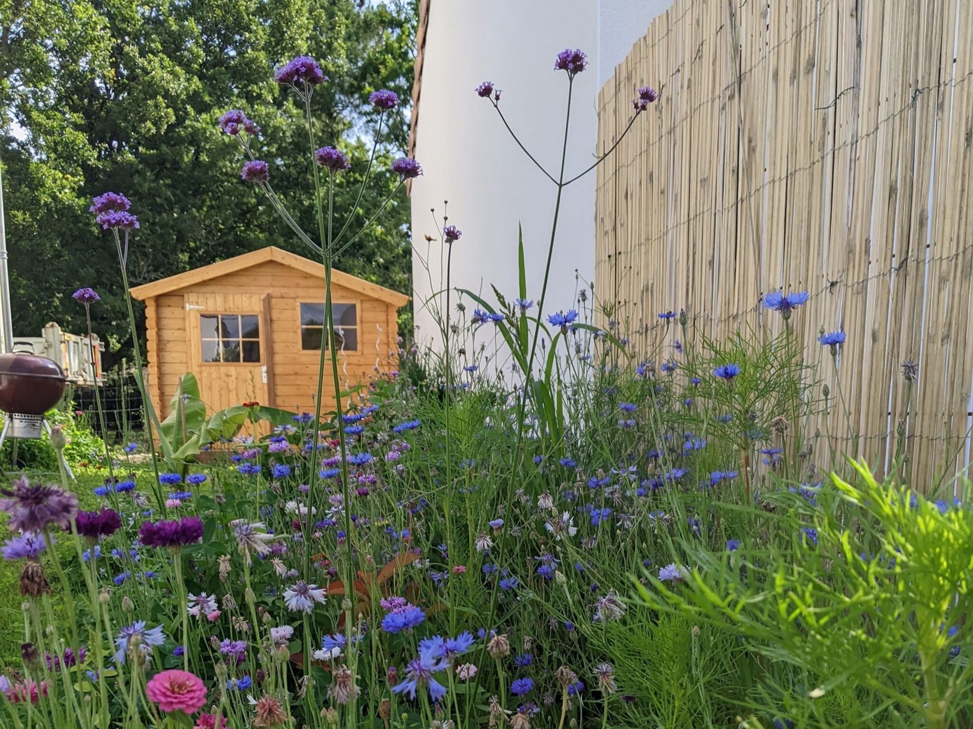 Création de jardins vivants et durables